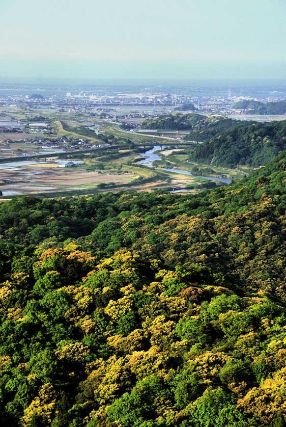 🏯 산중 어전 터(갓산토다조 산추고텐아토) 이미지 8